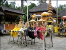 Offerings at Gunung Kawi Temple outside Ubud in Bali